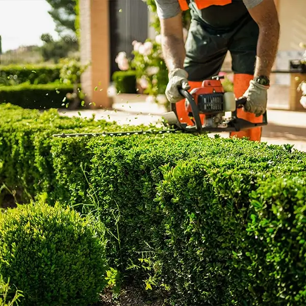 Gartenarbeit und Grünflächenpflege
